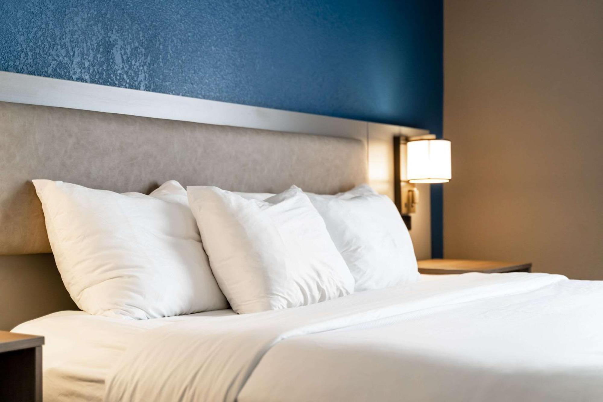 Comfort Suites Columbia Northeast - Fort Jackson Kültér fotó